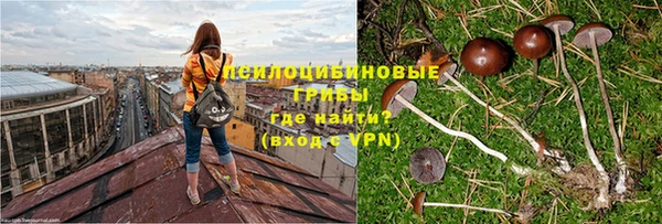 первитин Дмитров