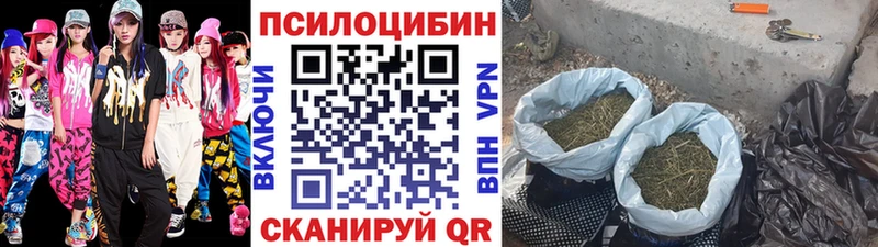 Псилоцибиновые грибы мухоморы  Купить закладки  Приморск 
